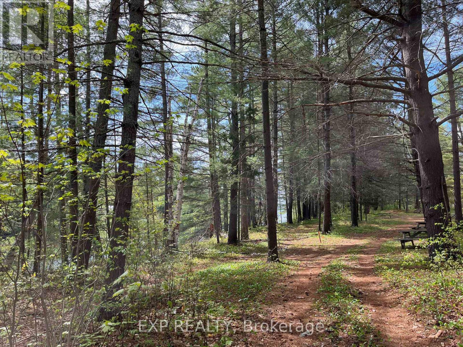 Lot 35 Sandy Shores Trail, Madawaska Valley, Ontario  K0J 1B0 - Photo 5 - X12091920