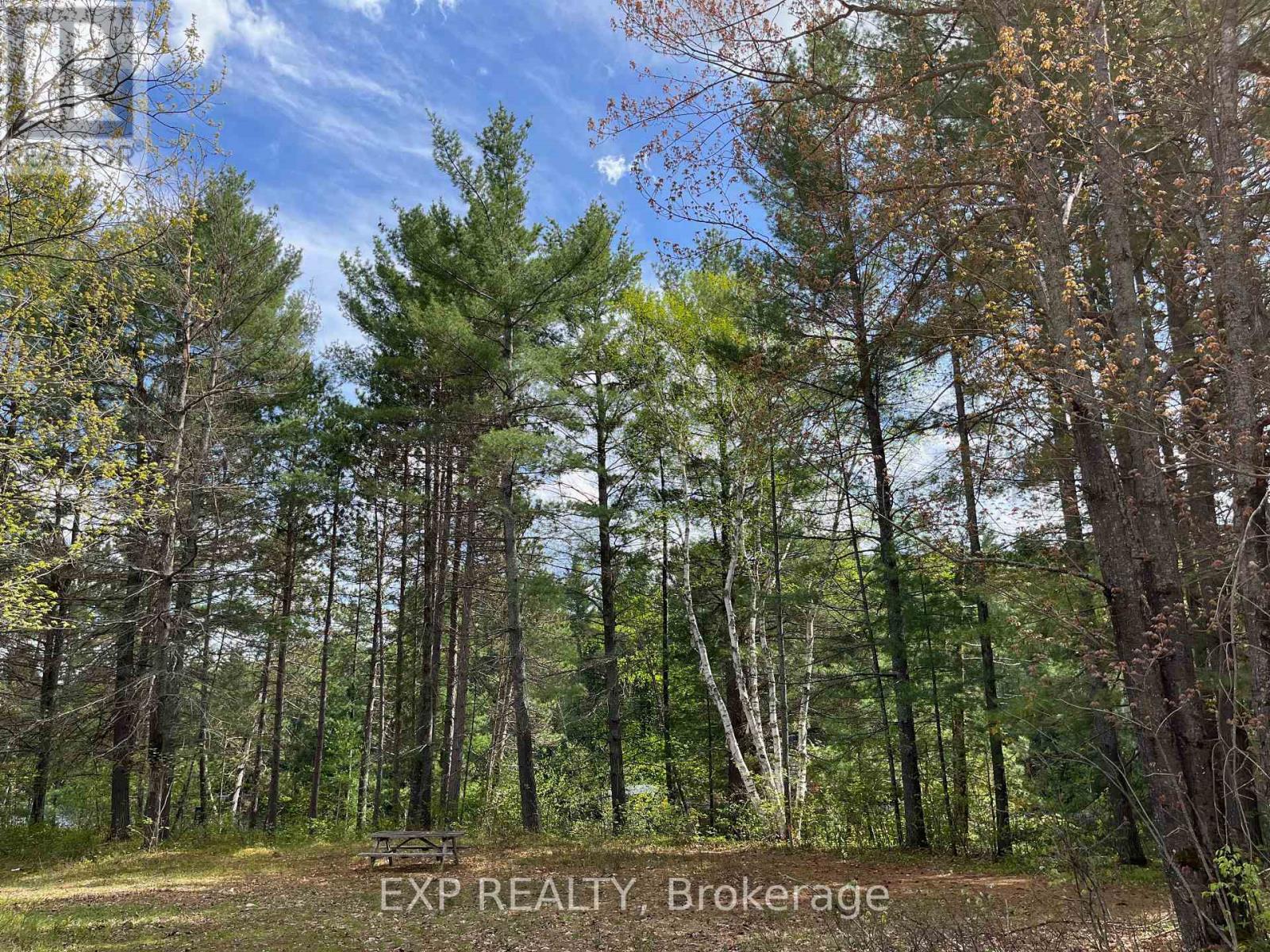Lot 35 Sandy Shores Trail, Madawaska Valley, Ontario  K0J 1B0 - Photo 6 - X12091920
