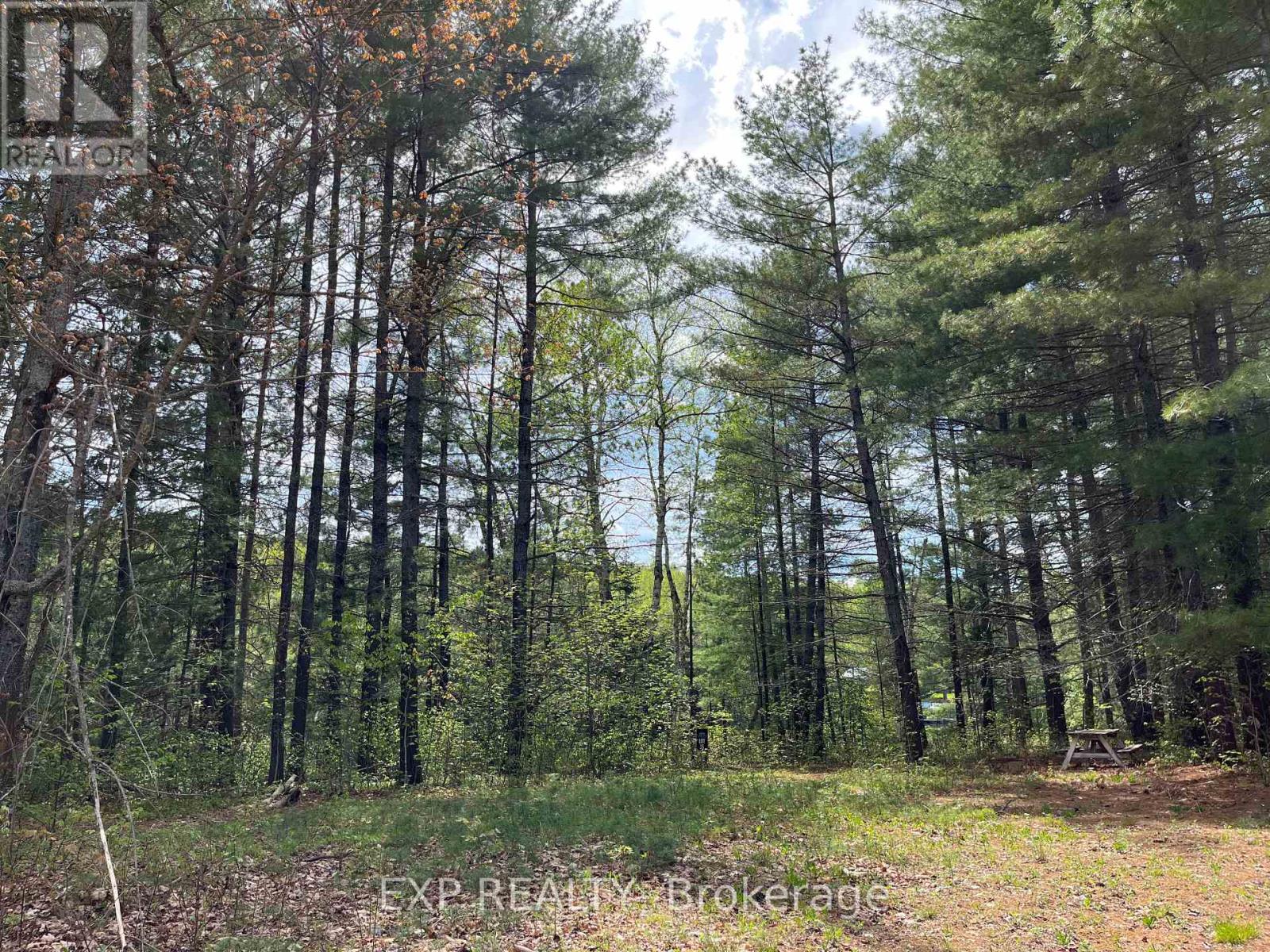 Lot 35 Sandy Shores Trail, Madawaska Valley, Ontario  K0J 1B0 - Photo 7 - X12091920