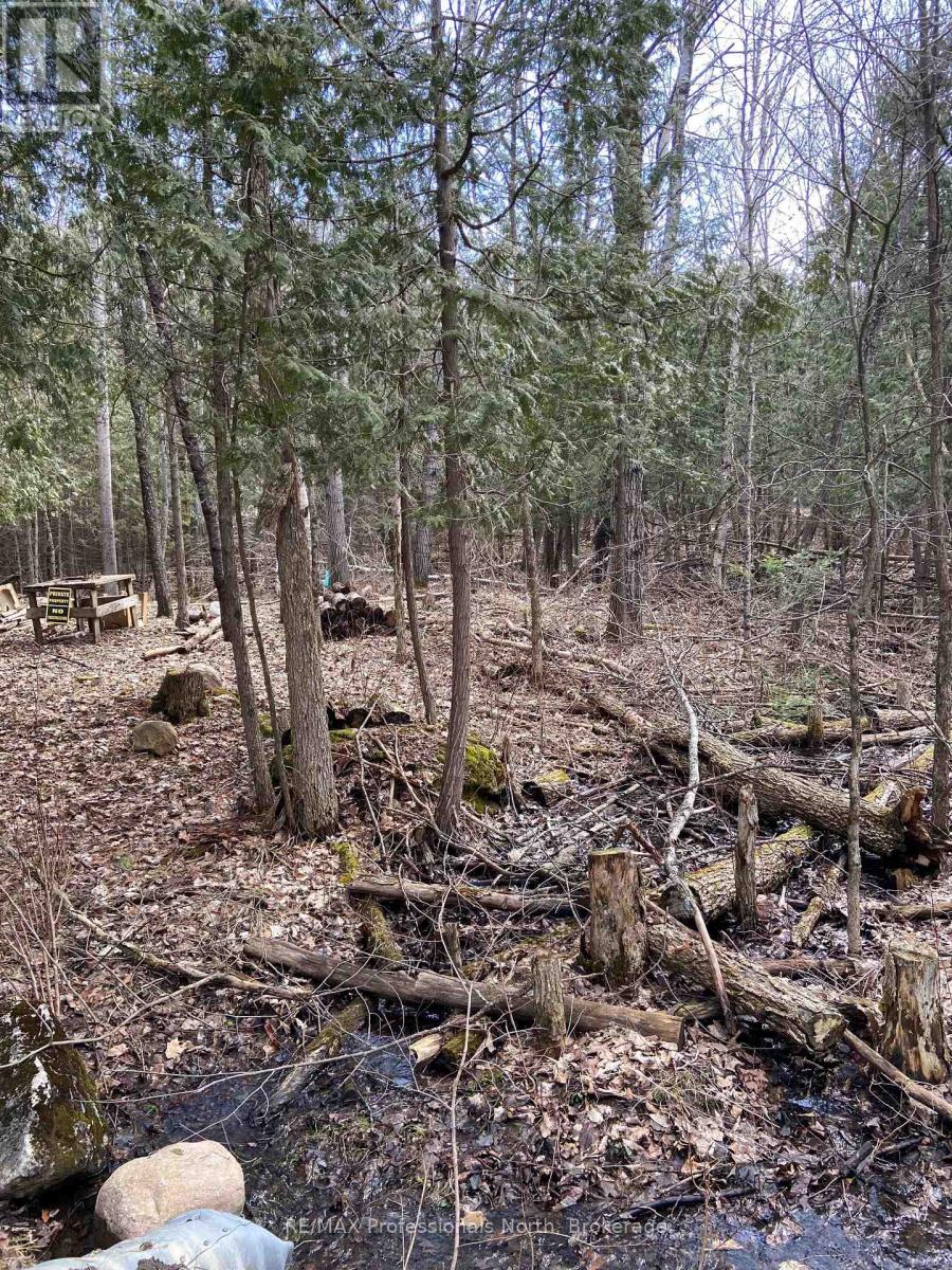 N/a Chelsea Lane, Algonquin Highlands, Ontario  K0M 1J0 - Photo 2 - X12092067