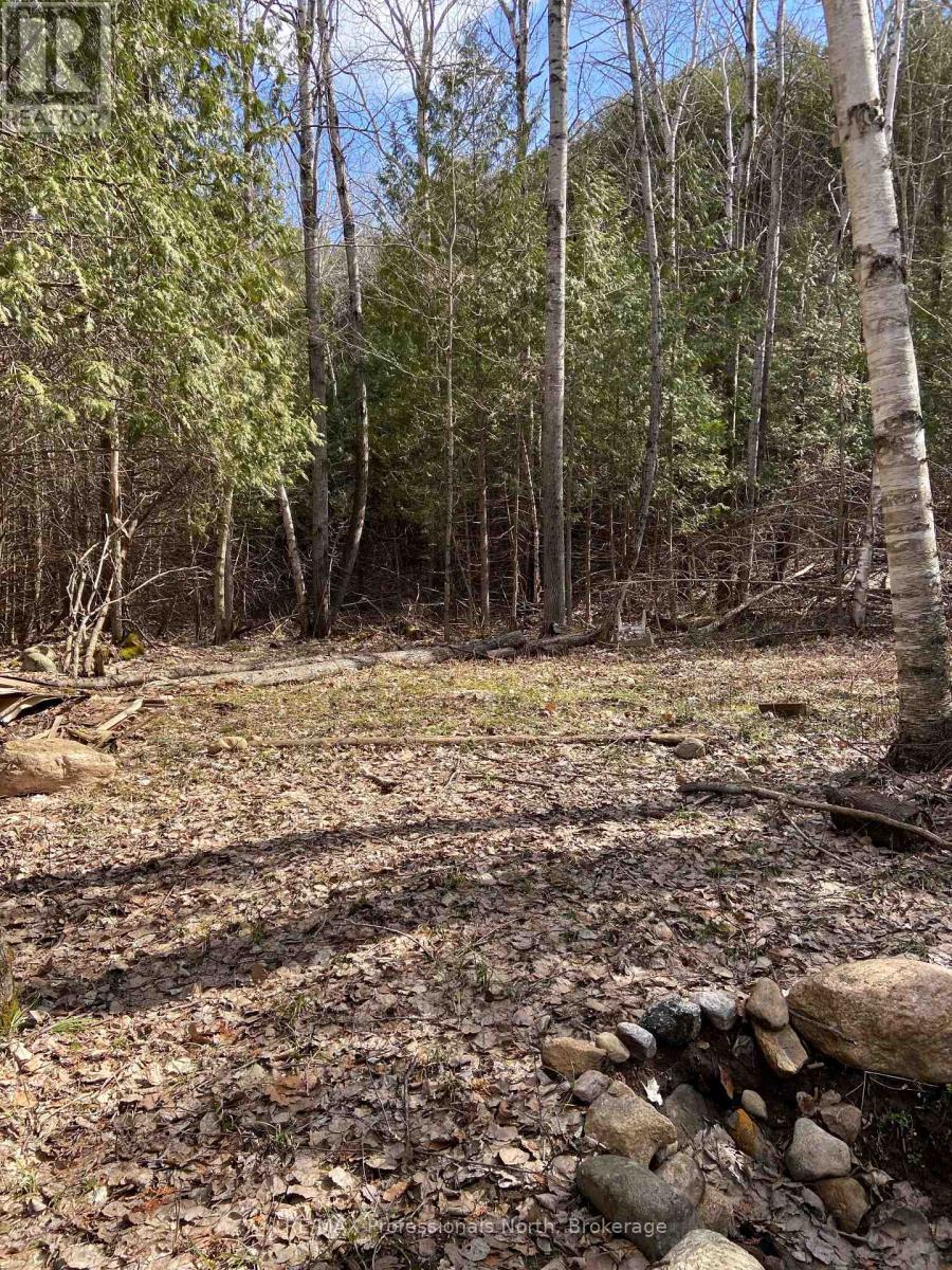N/a Chelsea Lane, Algonquin Highlands, Ontario  K0M 1J0 - Photo 3 - X12092067