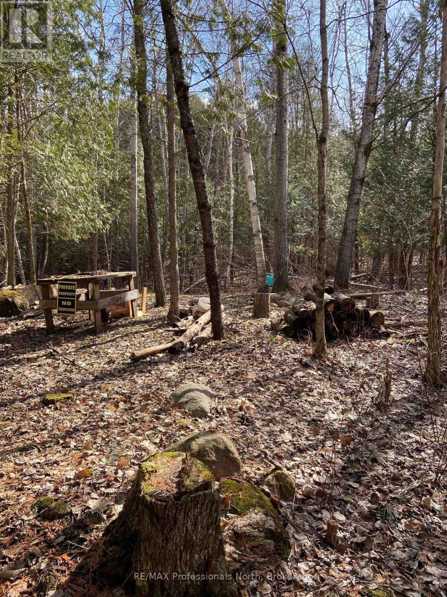 N/a Chelsea Lane, Algonquin Highlands, Ontario  K0M 1J0 - Photo 5 - X12092067
