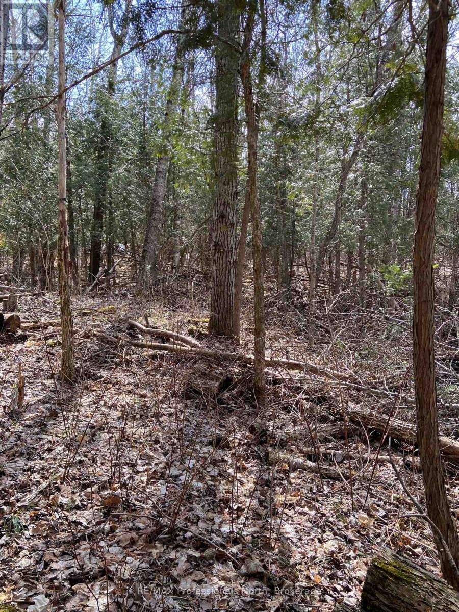 N/a Chelsea Lane, Algonquin Highlands, Ontario  K0M 1J0 - Photo 6 - X12092067