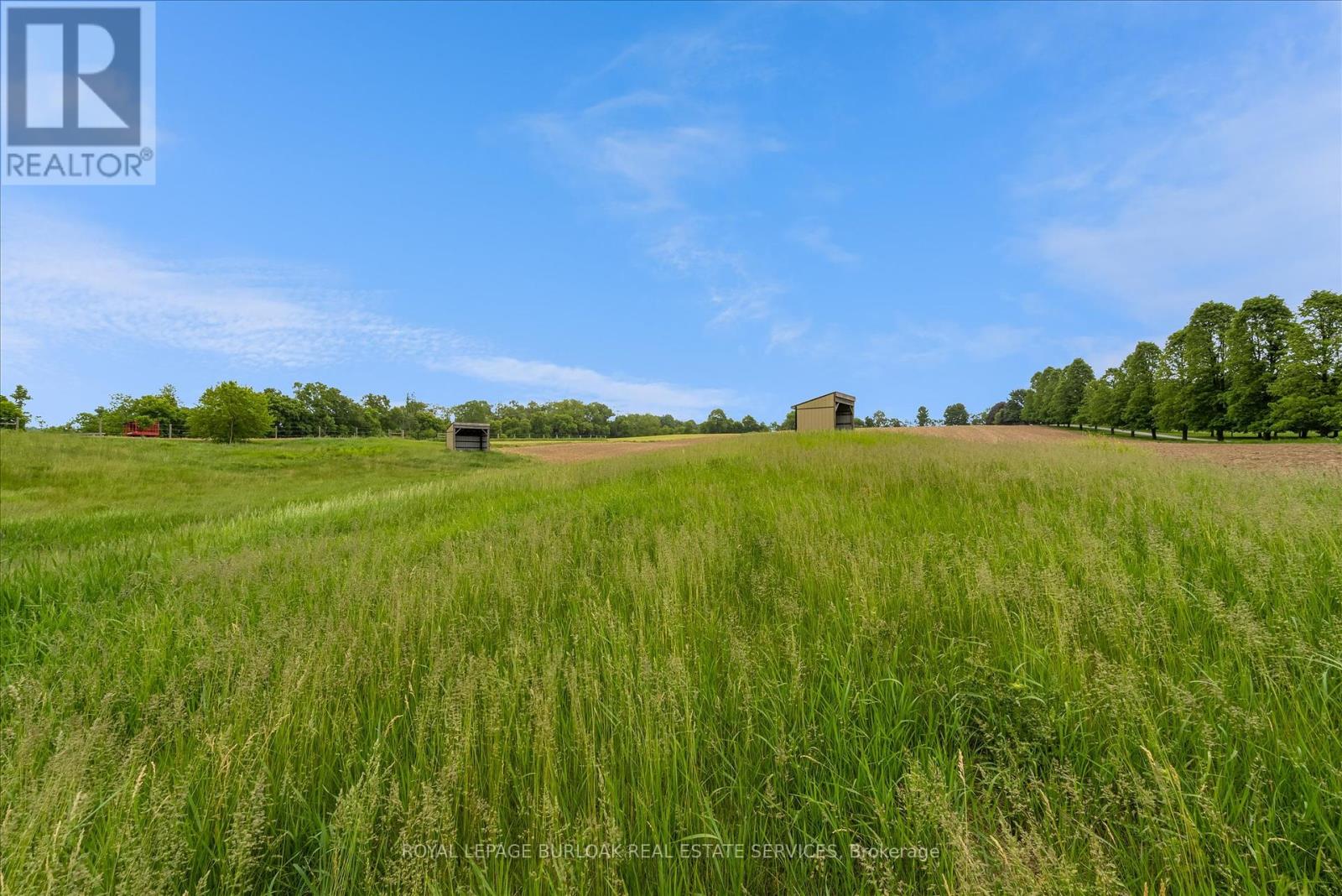 337 Highway 52 N, Hamilton (Ancaster), Ontario  L0R 1T0 - Photo 5 - X12092064