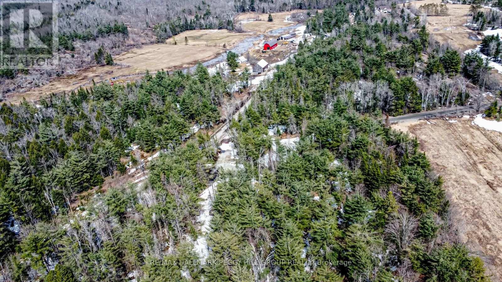 1036 Hopkins Road, Gravenhurst (Ryde), Ontario  P1P 1R3 - Photo 10 - X12092081