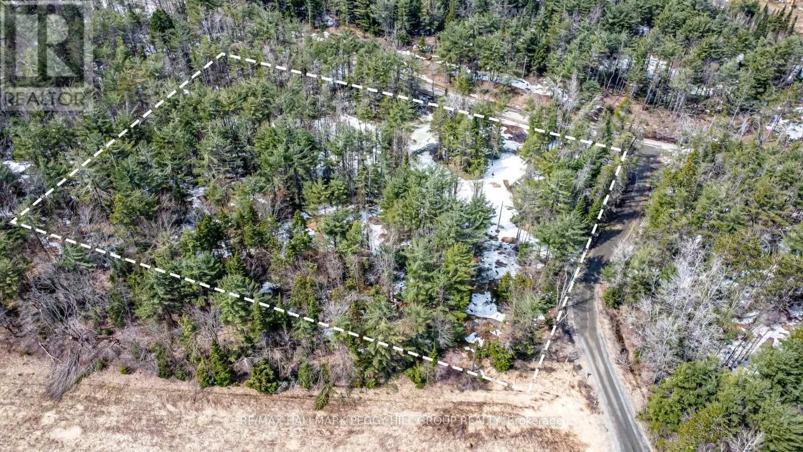 1036 Hopkins Road, Gravenhurst (Ryde), Ontario  P1P 1R3 - Photo 2 - X12092081