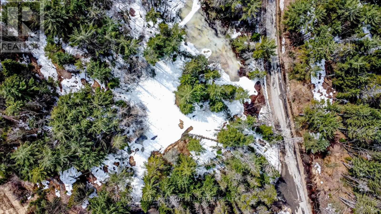 1036 Hopkins Road, Gravenhurst (Ryde), Ontario  P1P 1R3 - Photo 3 - X12092081