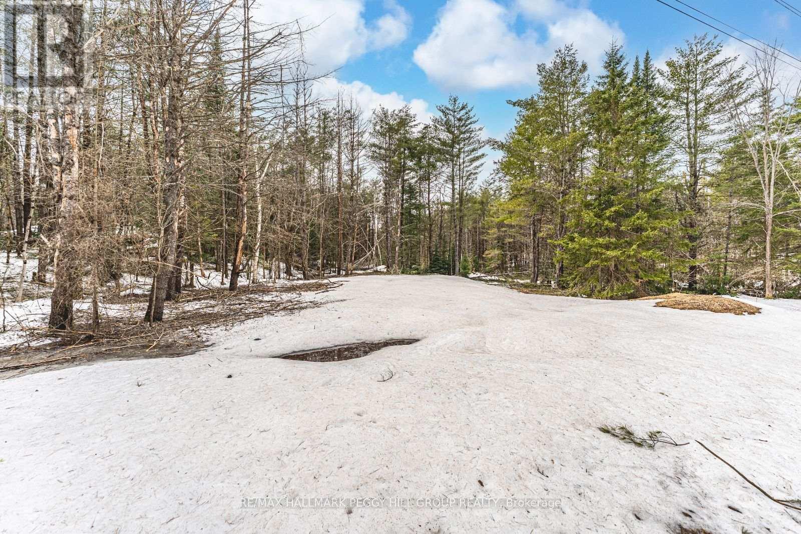 1036 Hopkins Road, Gravenhurst (Ryde), Ontario  P1P 1R3 - Photo 4 - X12092081