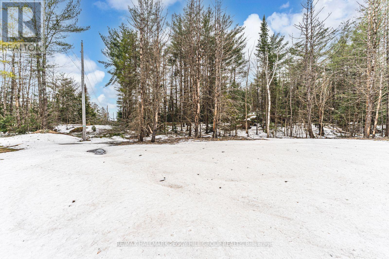 1036 Hopkins Road, Gravenhurst (Ryde), Ontario  P1P 1R3 - Photo 6 - X12092081
