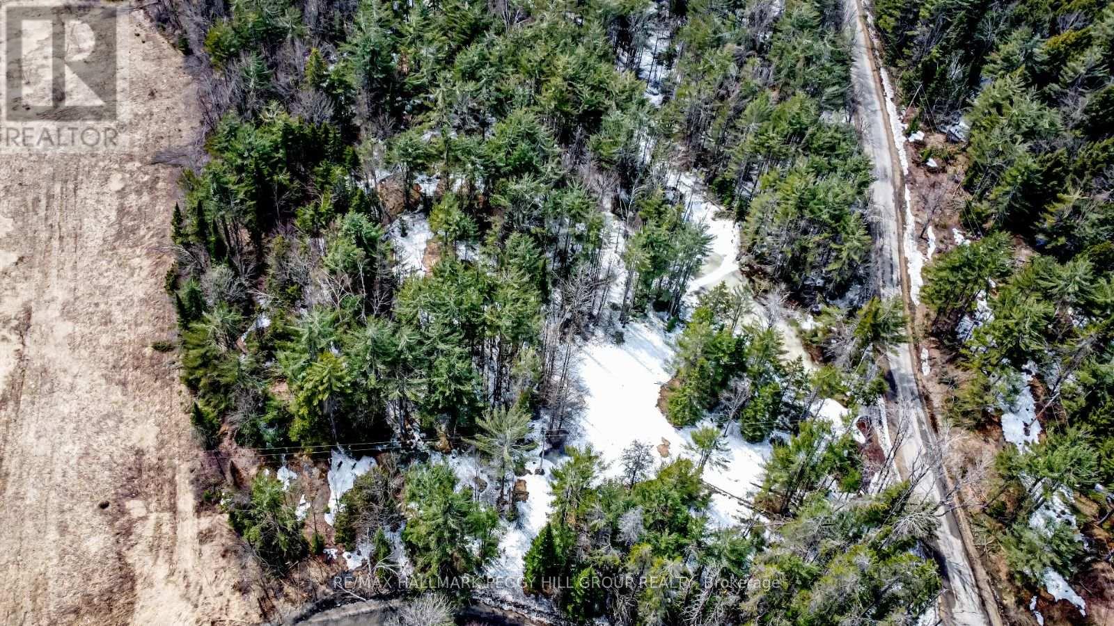 1036 Hopkins Road, Gravenhurst (Ryde), Ontario  P1P 1R3 - Photo 8 - X12092081