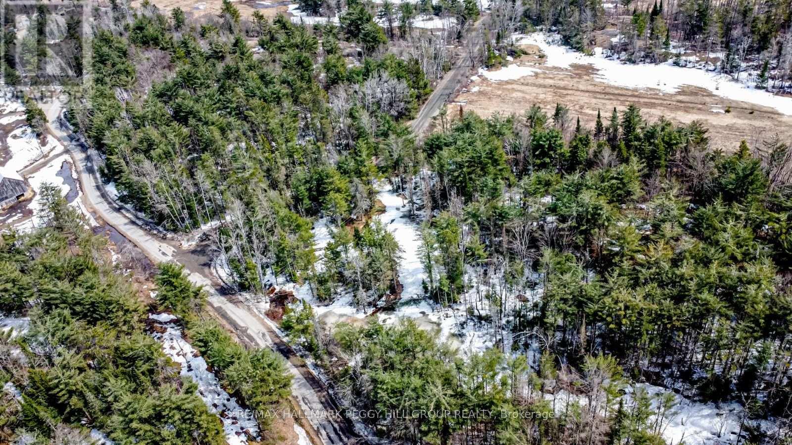 1036 Hopkins Road, Gravenhurst (Ryde), Ontario  P1P 1R3 - Photo 9 - X12092081