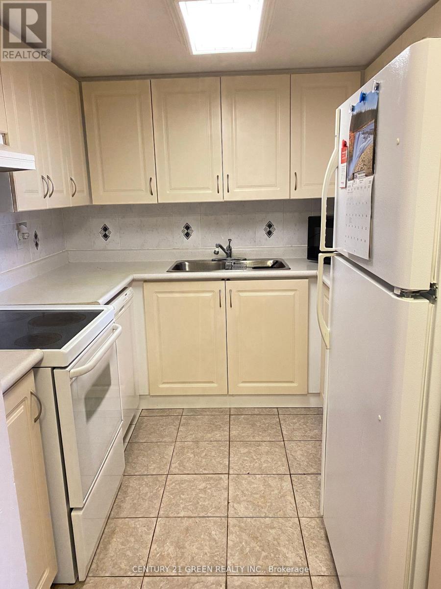 303 - 25 Agnes Street N, Mississauga, Ontario  L5B 3X7 - Photo 11 - W12092196