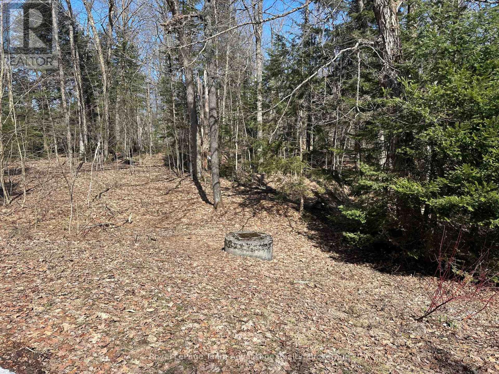 709 141 Highway, Seguin, Ontario  P0C 1J0 - Photo 40 - X12092268