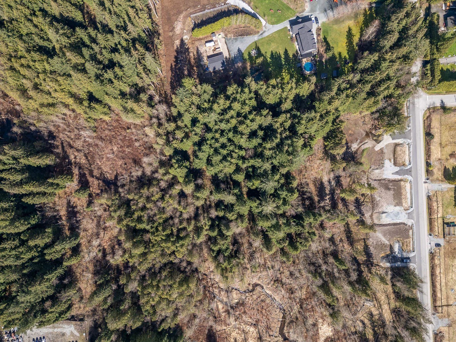 12167 Rolley Lake Street, Mission, British Columbia  V4S 1E1 - Photo 3 - R2989588