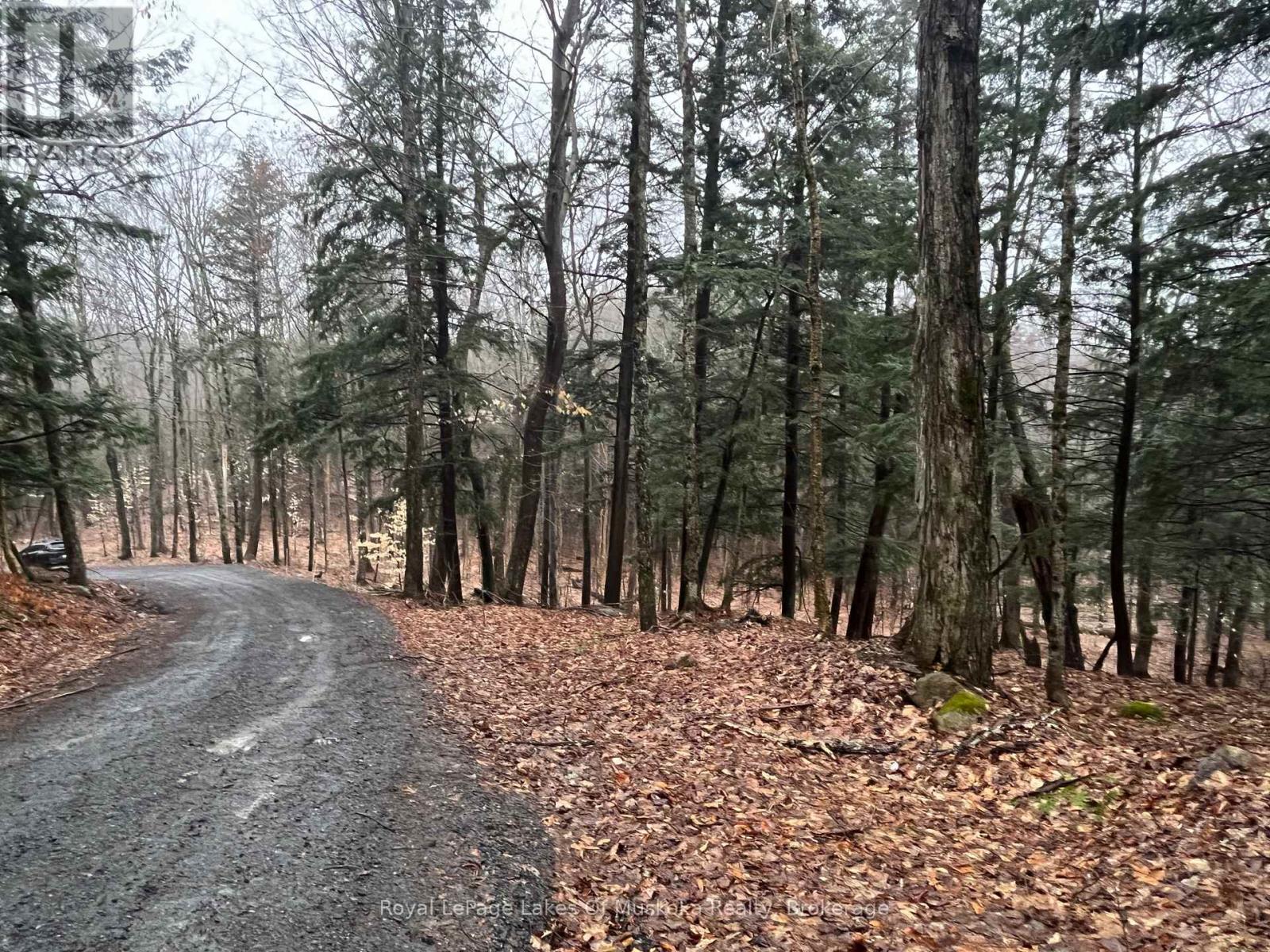 Lot 90 Lookout Point Road, Huntsville, Ontario  P1H 2J2 - Photo 10 - X12092418