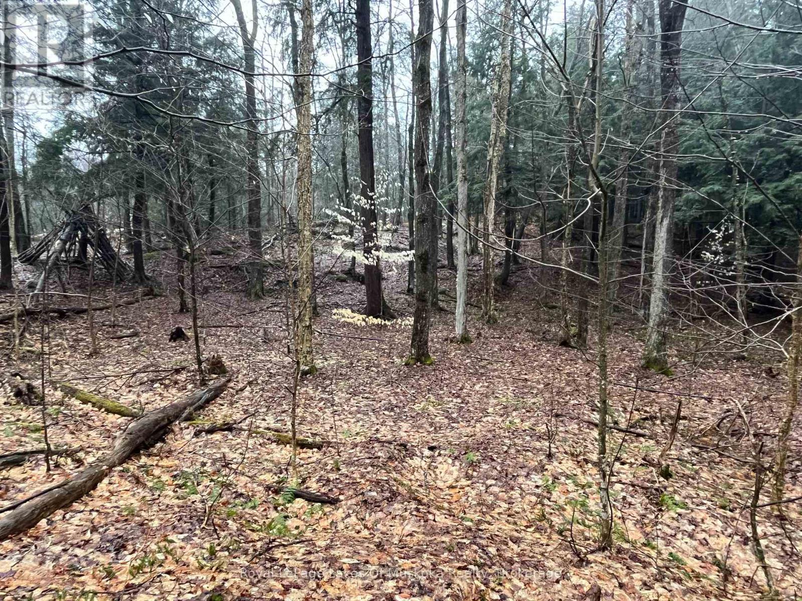 Lot 90 Lookout Point Road, Huntsville, Ontario  P1H 2J2 - Photo 11 - X12092418