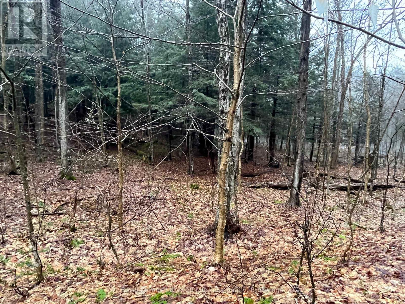 Lot 90 Lookout Point Road, Huntsville, Ontario  P1H 2J2 - Photo 12 - X12092418