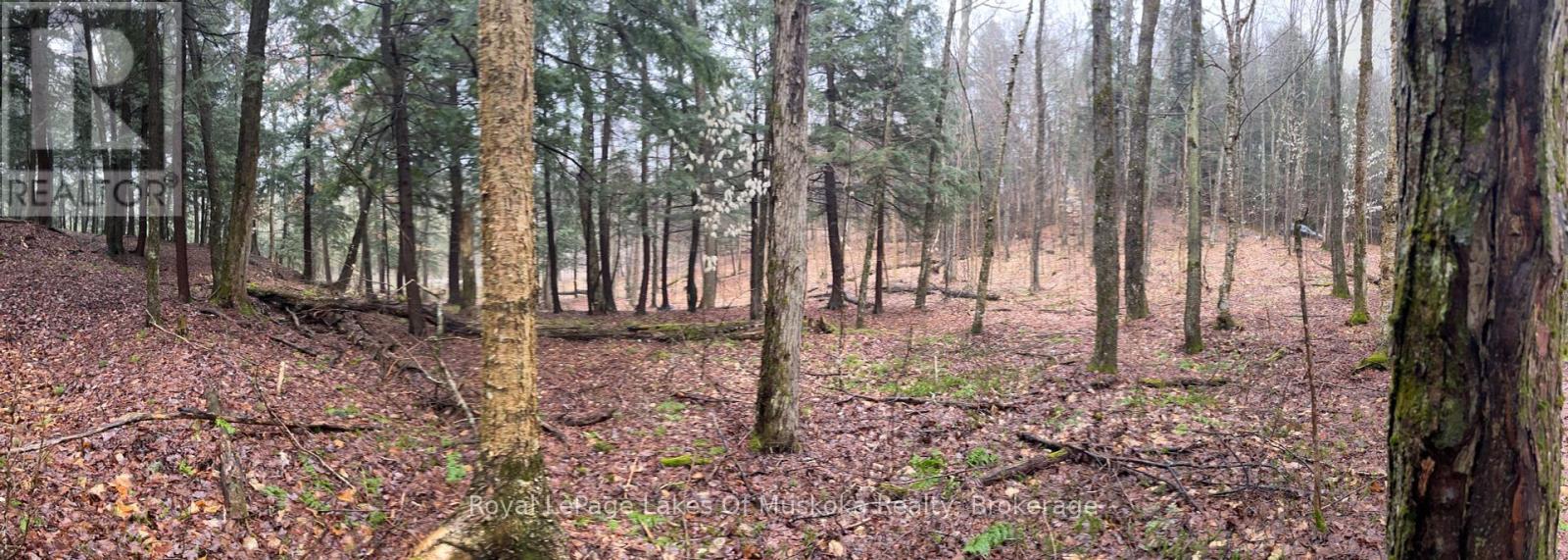 Lot 90 Lookout Point Road, Huntsville, Ontario  P1H 2J2 - Photo 18 - X12092418