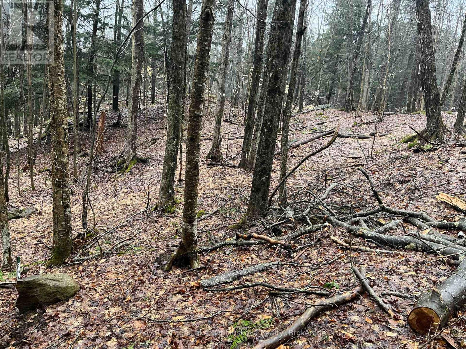 Lot 90 Lookout Point Road, Huntsville, Ontario  P1H 2J2 - Photo 2 - X12092418