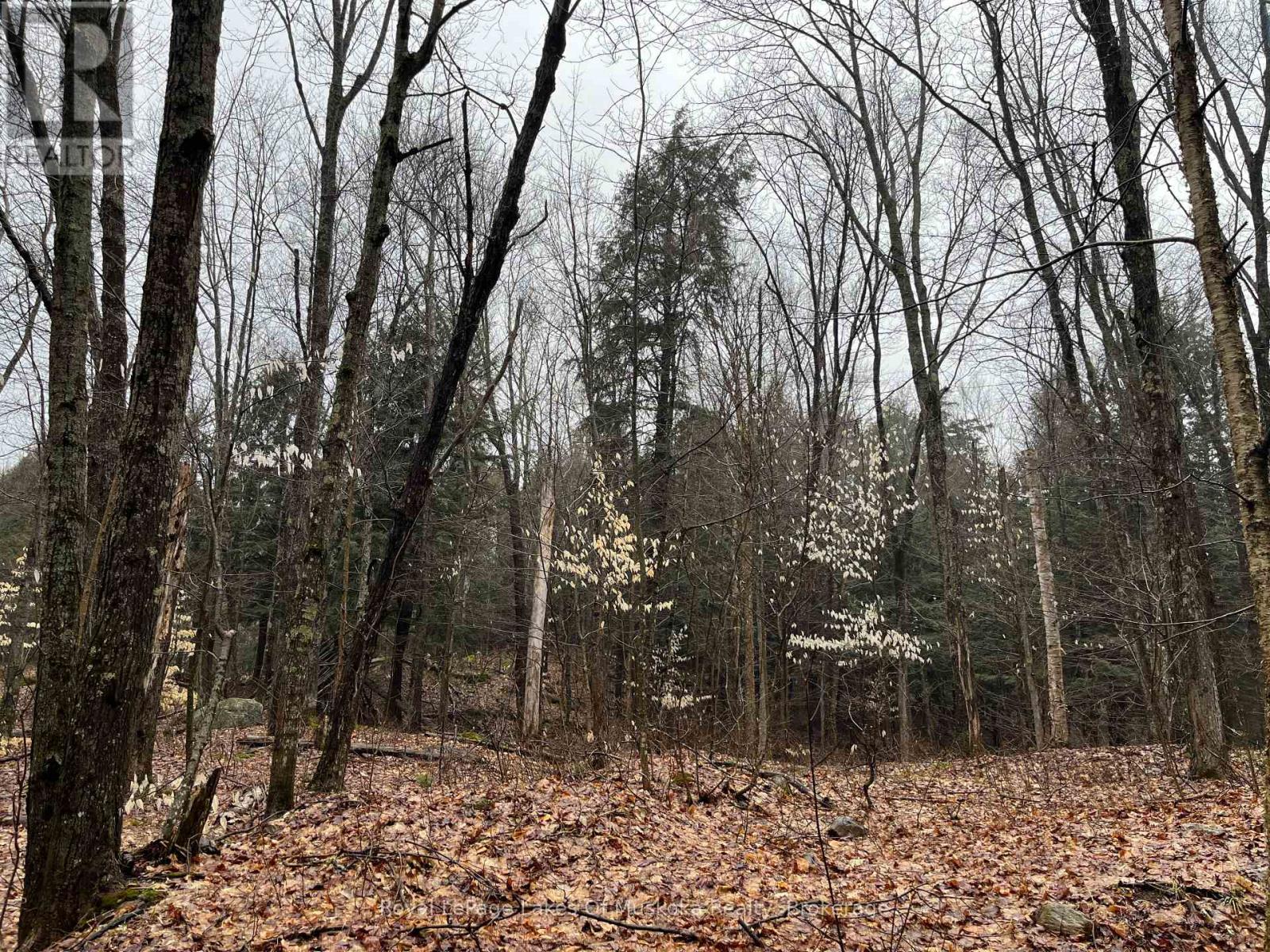 Lot 90 Lookout Point Road, Huntsville, Ontario  P1H 2J2 - Photo 3 - X12092418