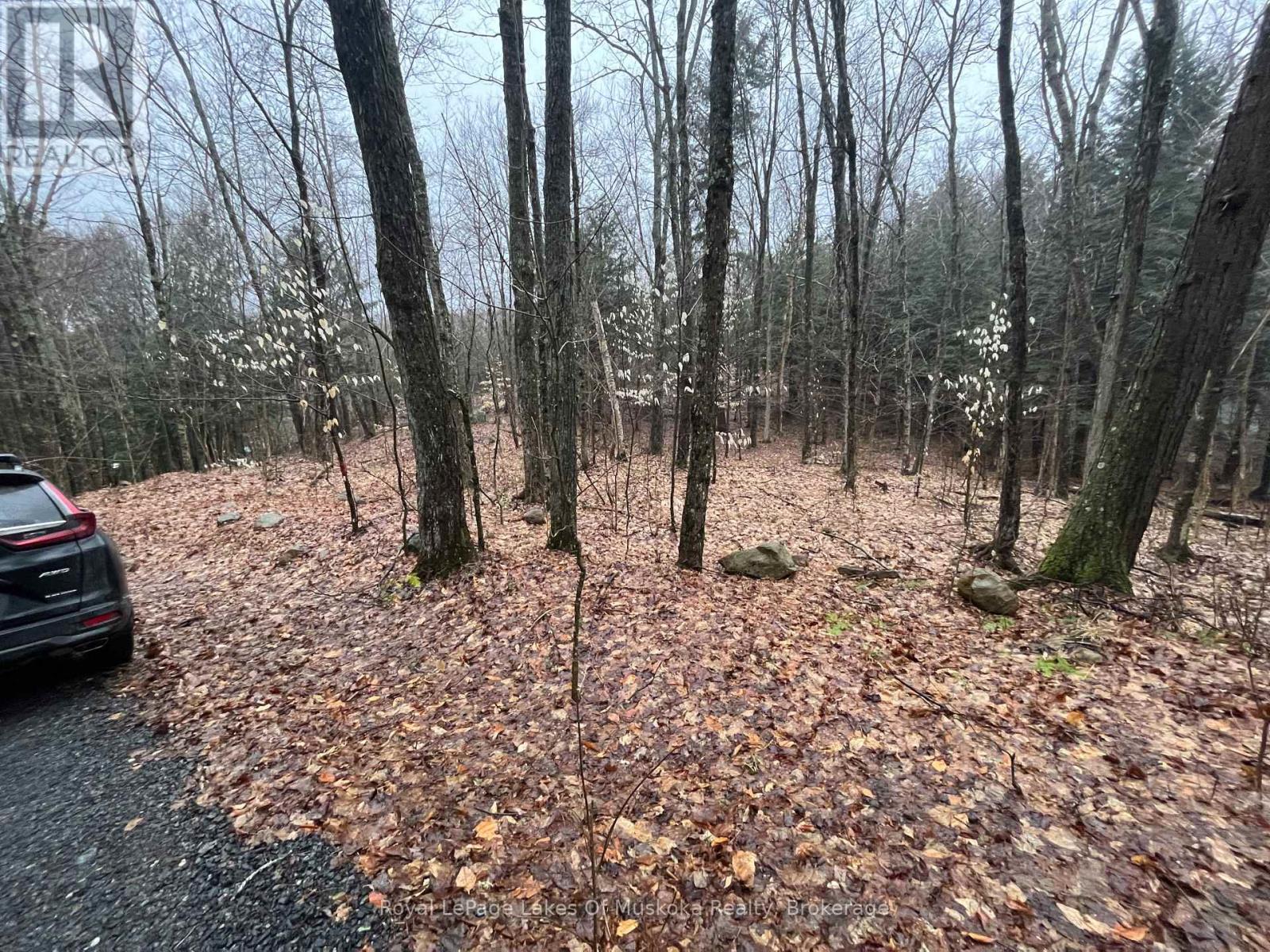 Lot 90 Lookout Point Road, Huntsville, Ontario  P1H 2J2 - Photo 4 - X12092418