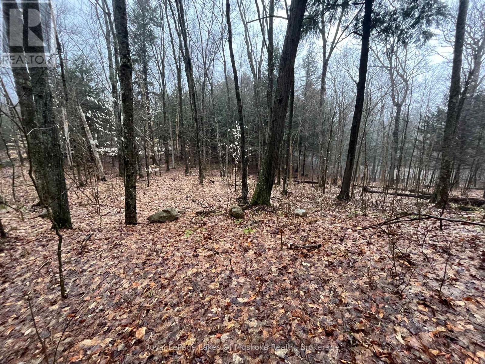 Lot 90 Lookout Point Road, Huntsville, Ontario  P1H 2J2 - Photo 5 - X12092418