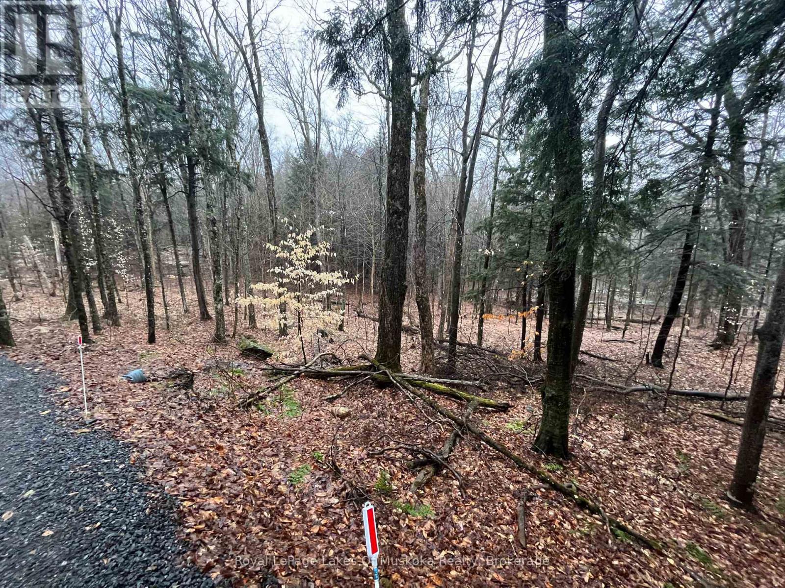 Lot 90 Lookout Point Road, Huntsville, Ontario  P1H 2J2 - Photo 8 - X12092418