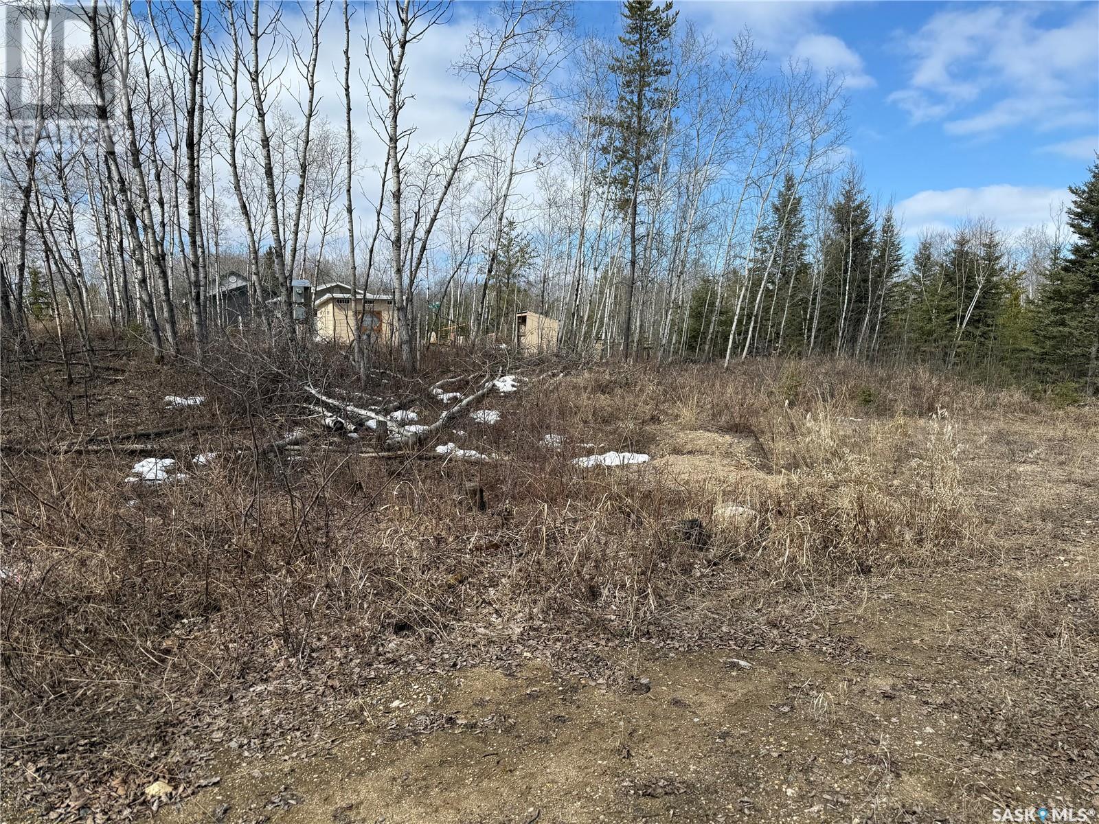 27 1st Street Nw, Christopher Lake, Saskatchewan  S0J 0N0 - Photo 5 - SK003143