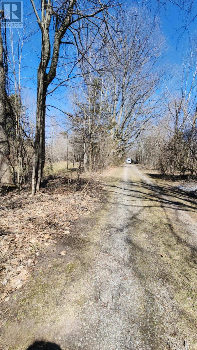 1655 Newton Street W, Tay, Ontario  L0K 2A0 - Photo 14 - S12092440