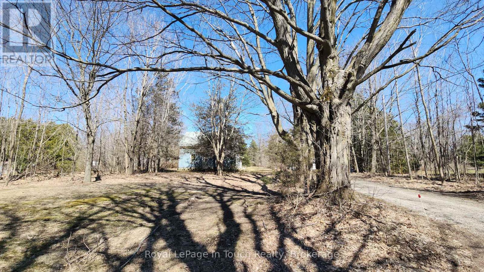 1655 Newton Street W, Tay, Ontario  L0K 2A0 - Photo 5 - S12092440