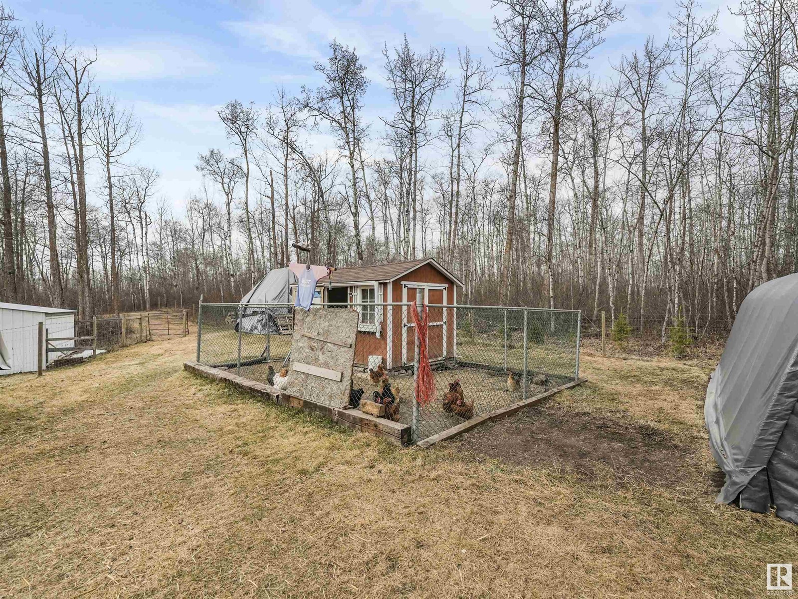 52420 Rge Road 213, Rural Strathcona County, Alberta  T8G 2E7 - Photo 7 - E4430738