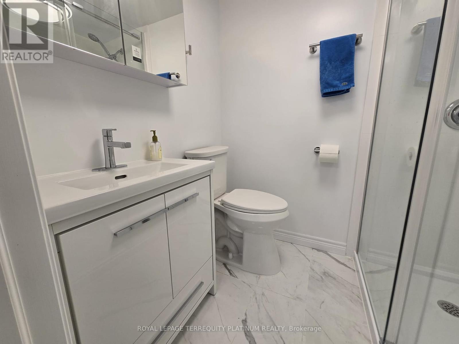 Lower - 144 Longford Drive, Newmarket (Bristol-London), Ontario  L3Y 2Y5 - Photo 14 - N12092386