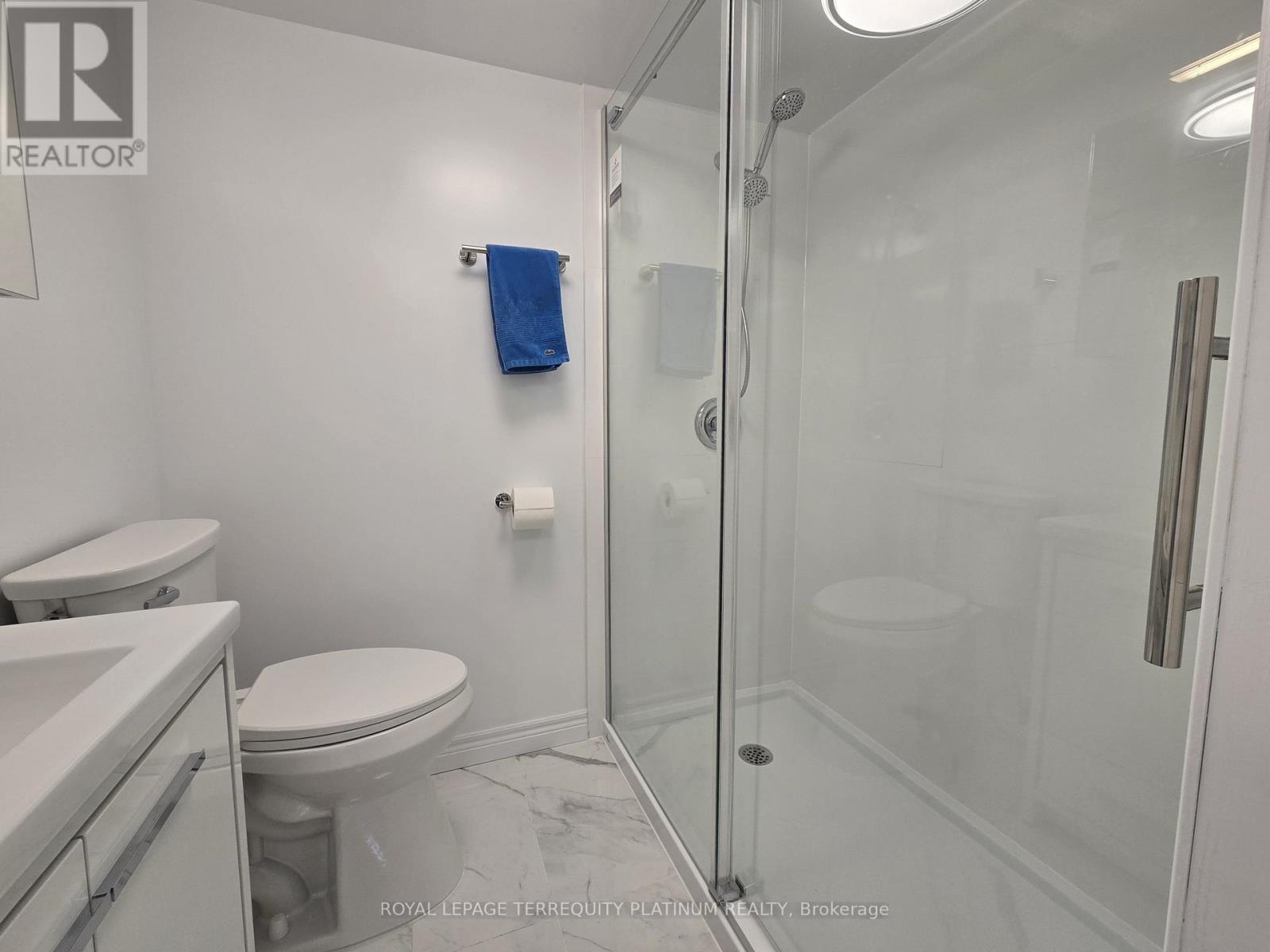 Lower - 144 Longford Drive, Newmarket (Bristol-London), Ontario  L3Y 2Y5 - Photo 15 - N12092386