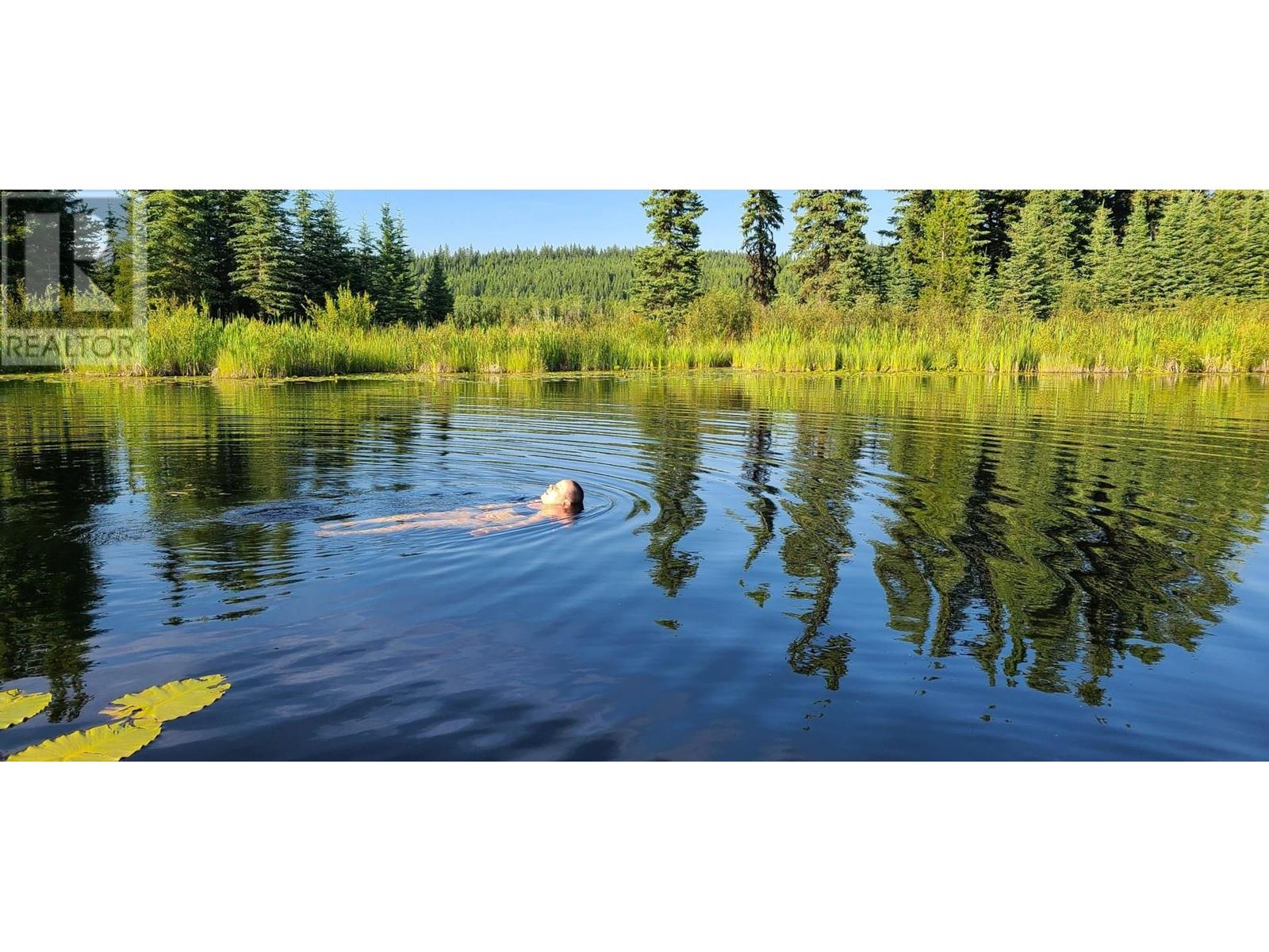 7274 Philemon Lake Road, Mcleese Lake, British Columbia  V0L 1P0 - Photo 5 - R2961885