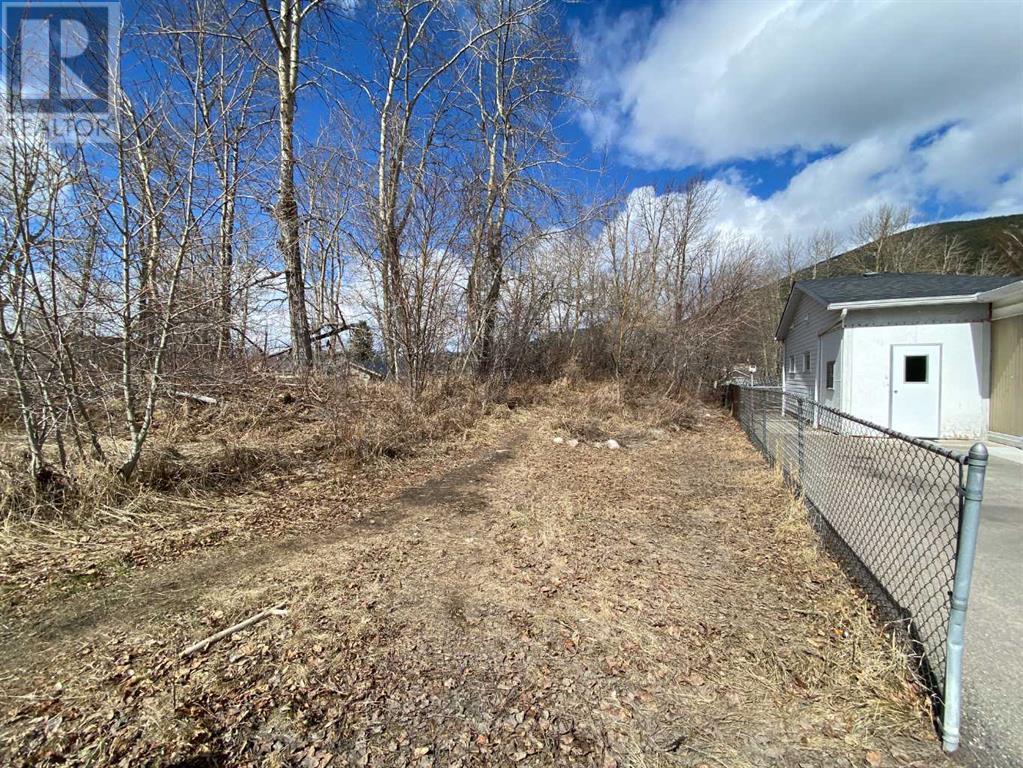 13101 16 Avenue, Blairmore, Alberta  T0K 0E0 - Photo 5 - A2210945