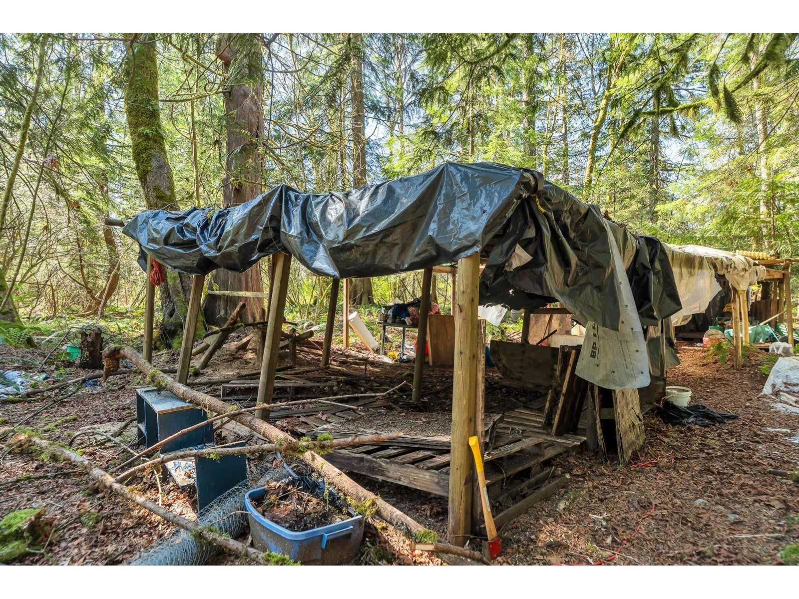 36161 Ridgeview Road, Mission, British Columbia  V2V 4J1 - Photo 25 - R2991519