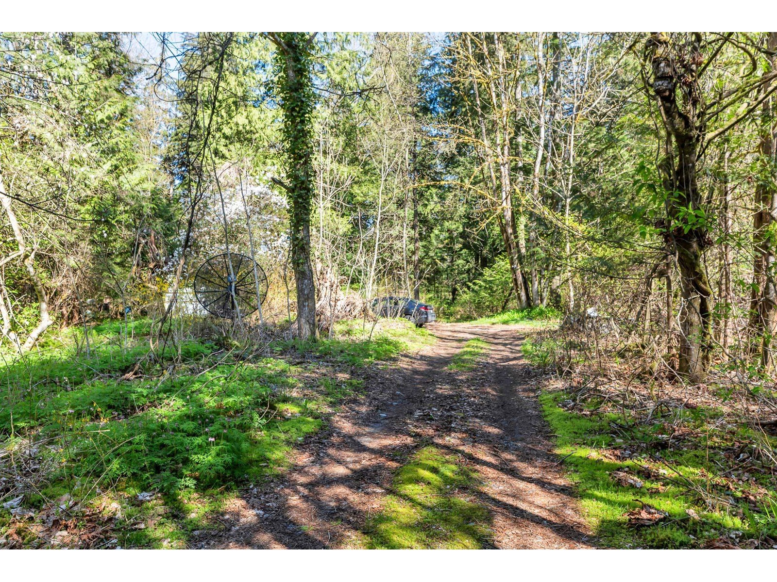 36161 Ridgeview Road, Mission, British Columbia  V2V 4J1 - Photo 19 - R2991519