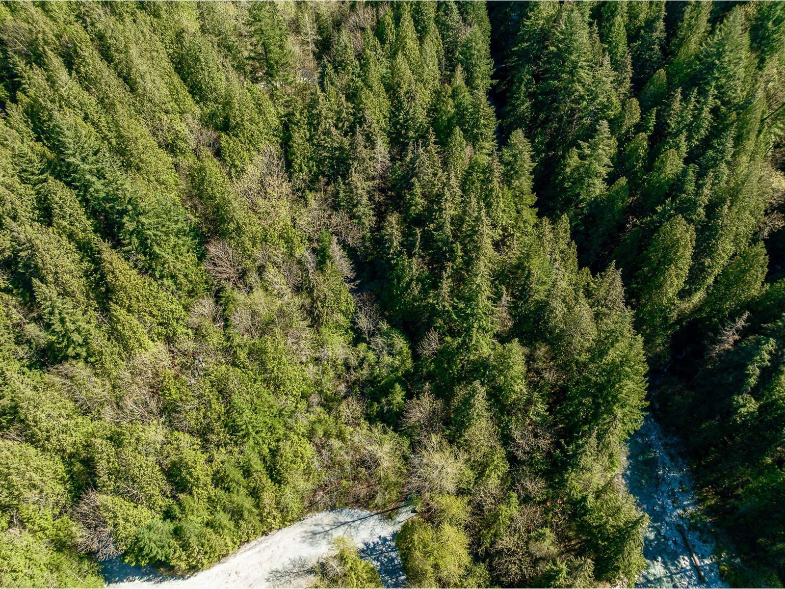36161 Ridgeview Road, Mission, British Columbia  V2V 4J1 - Photo 17 - R2991519