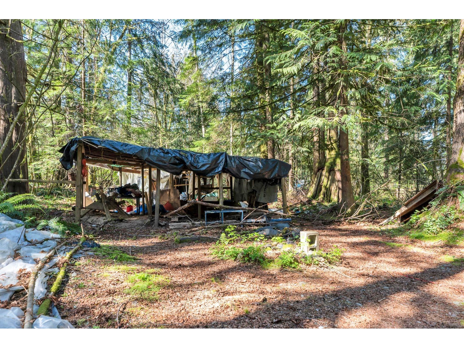 36161 Ridgeview Road, Mission, British Columbia  V2V 4J1 - Photo 21 - R2991519