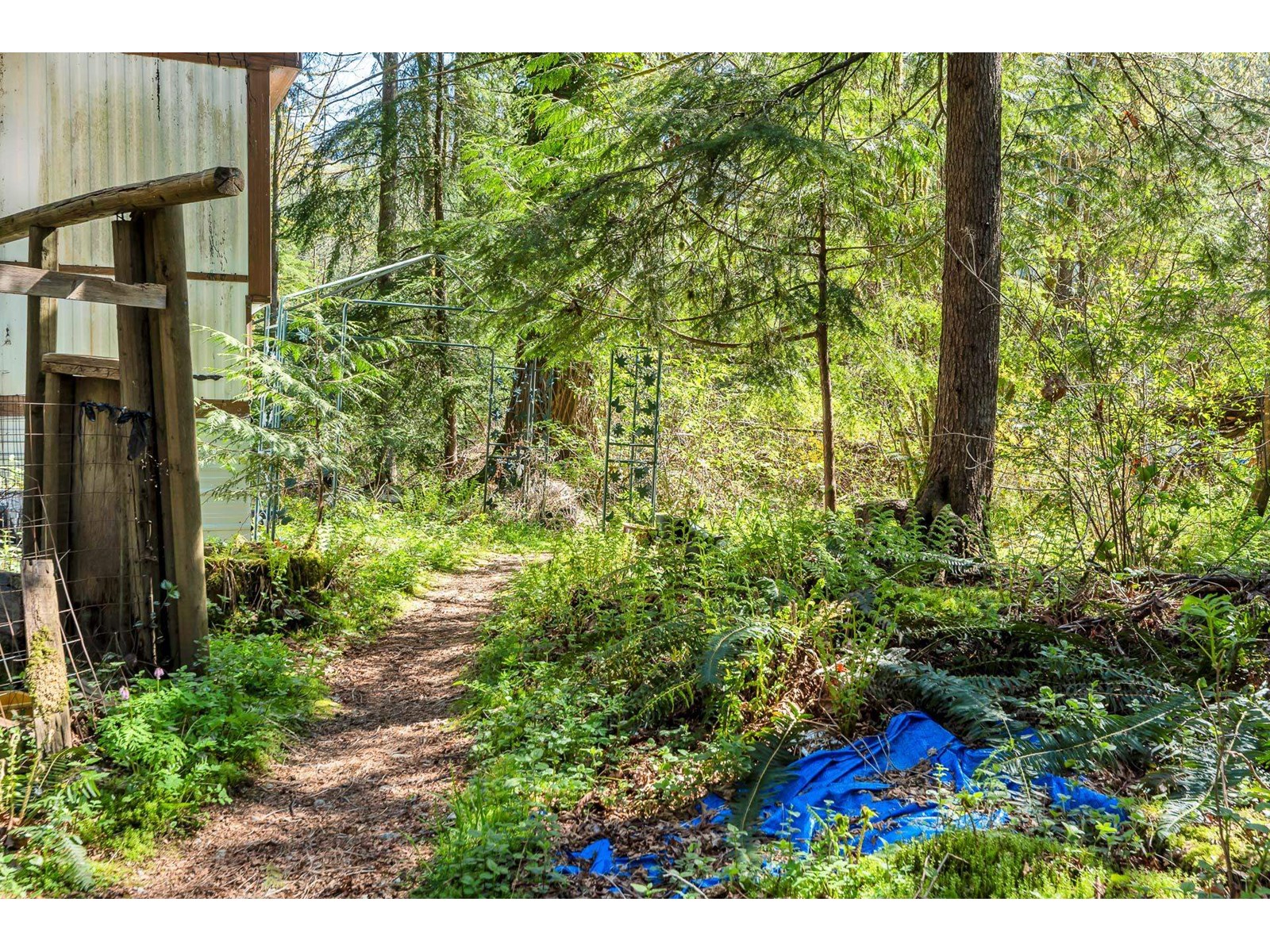 36161 Ridgeview Road, Mission, British Columbia  V2V 4J1 - Photo 23 - R2991519