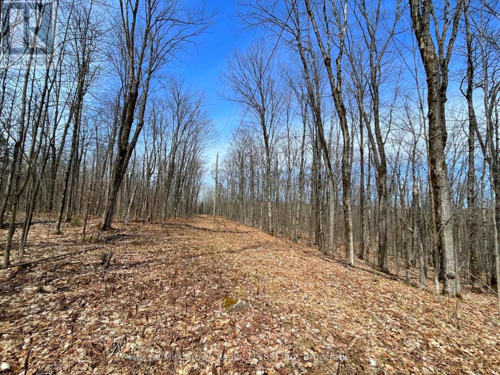 0b Pilgers Road, Nipissing, Ontario  P0H 1J0 - Photo 2 - X11965836