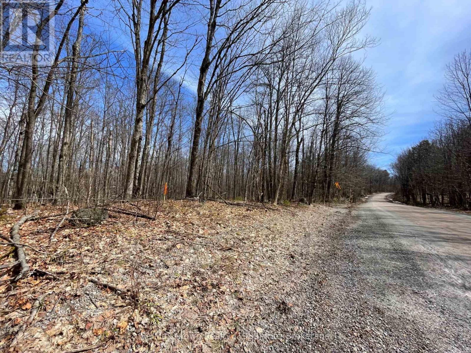 0b Pilgers Road, Nipissing, Ontario  P0H 1J0 - Photo 13 - X11965836