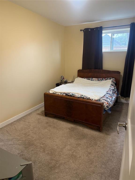 1829 Alexander Avenue, Winnipeg, Manitoba  R2R 0G6 - Photo 33 - 202508232