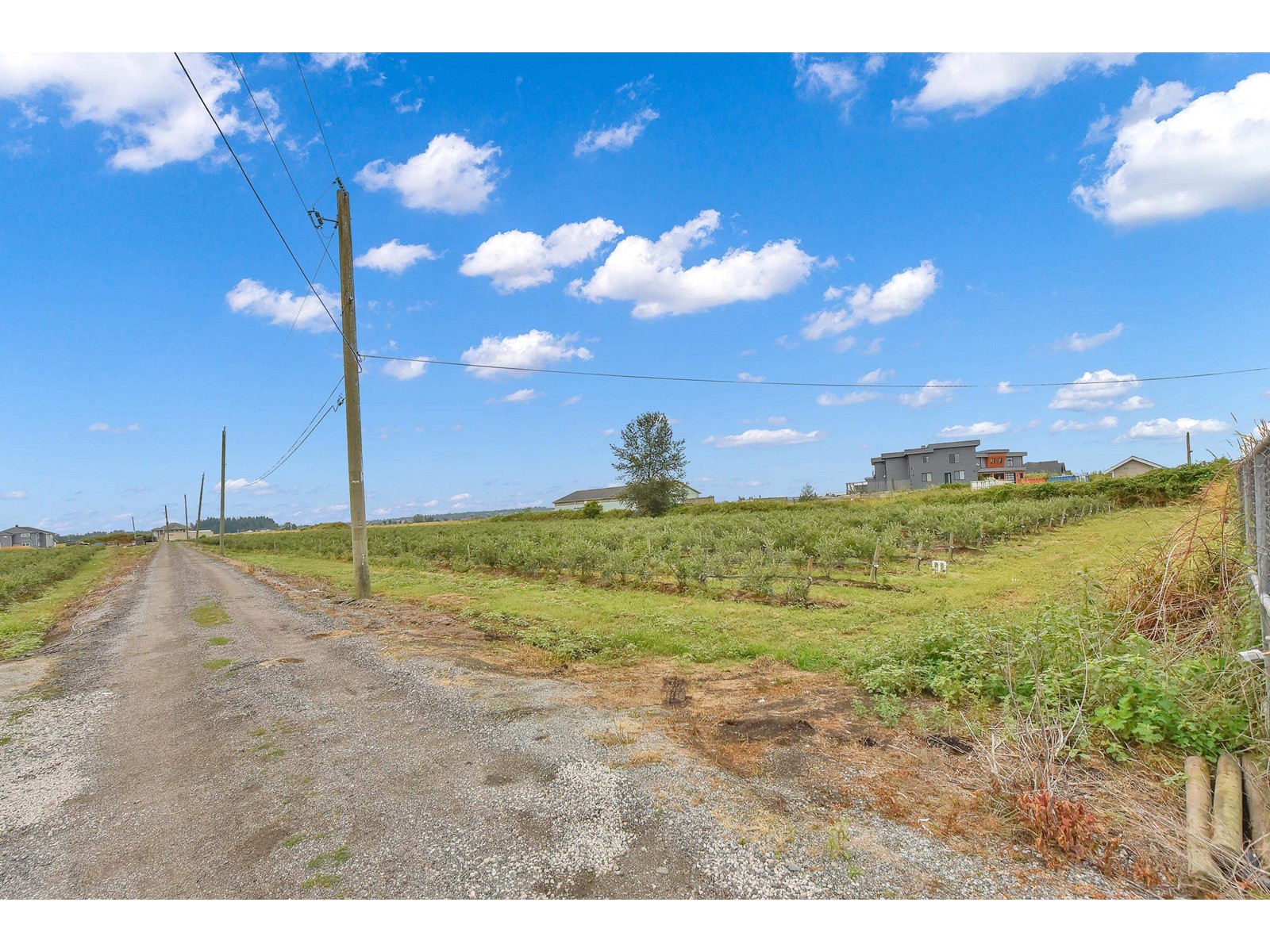 Property at 17027 40 AVENUE image 3