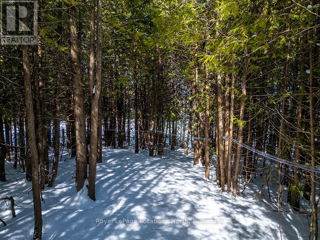 495530 2 Grey Road, Blue Mountains, Ontario  N0H 2E0 - Photo 36 - X12055739