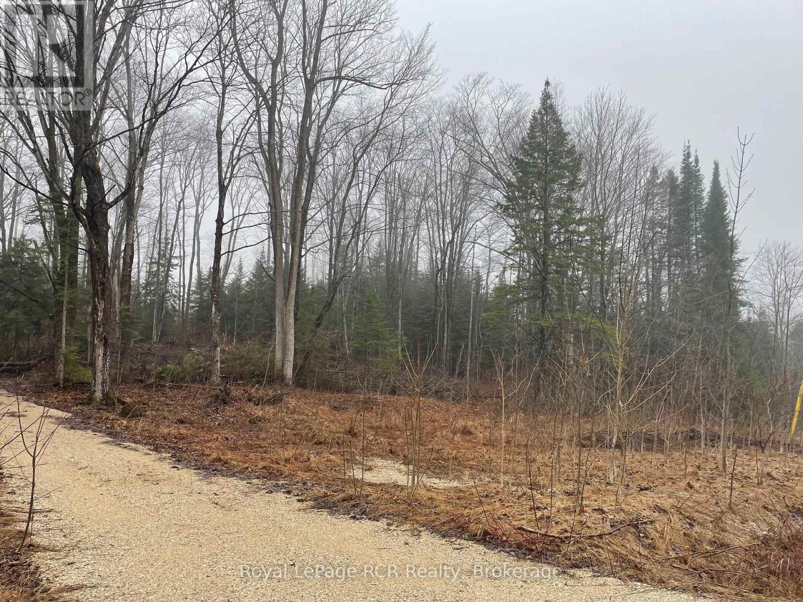 Lt 35 Highland Drive, West Grey, Ontario  N0C 1H0 - Photo 14 - X12088393