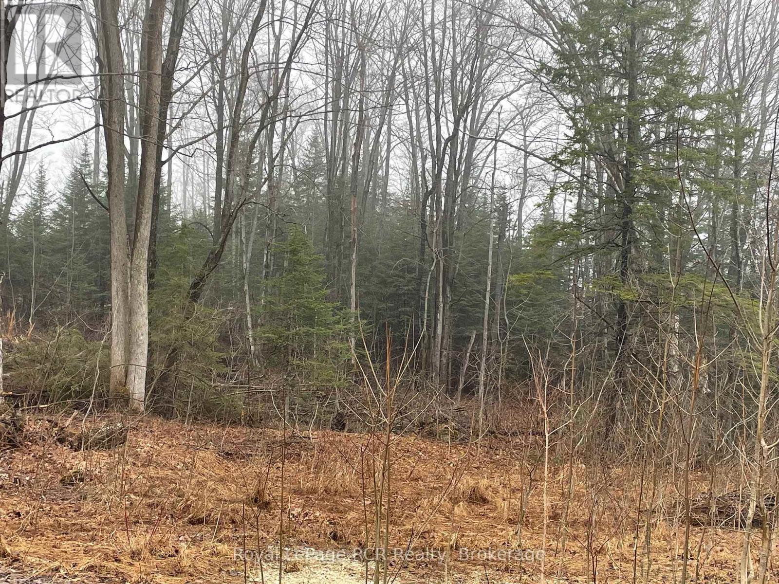 Lt 35 Highland Drive, West Grey, Ontario  N0C 1H0 - Photo 15 - X12088393