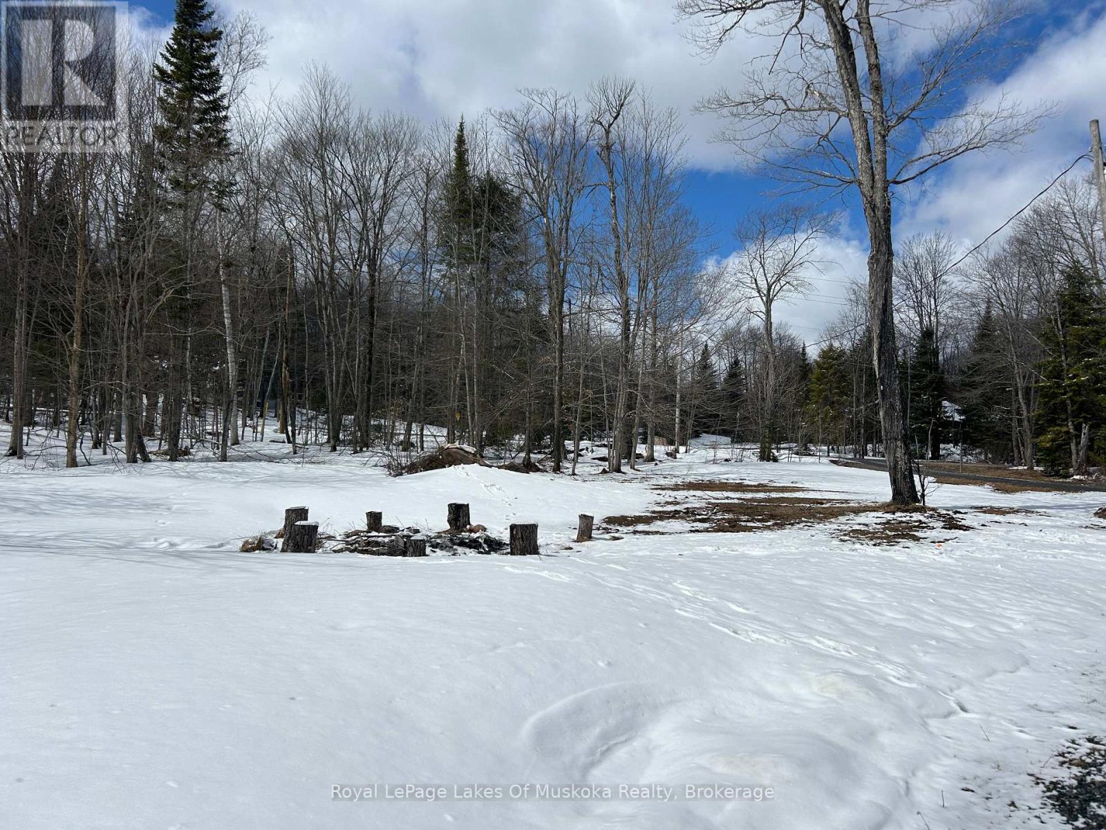 1807 Old Muskoka Road, Huntsville, Ontario  P0B 1M0 - Photo 18 - X12073913