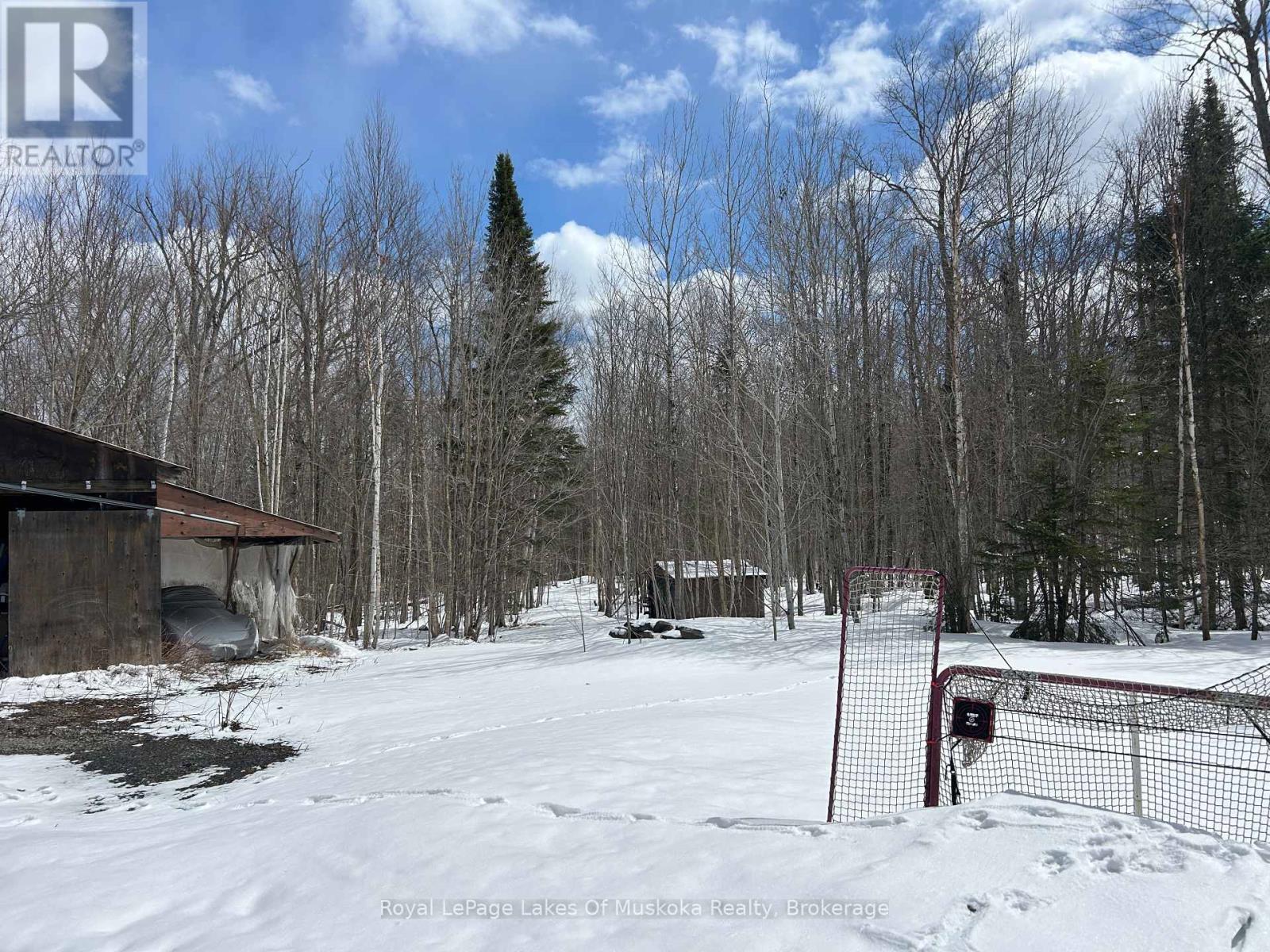 1807 Old Muskoka Road, Huntsville, Ontario  P0B 1M0 - Photo 17 - X12073913