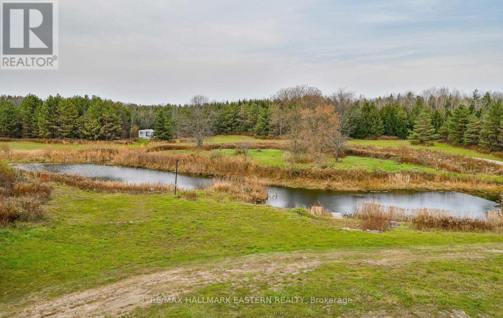 1108 Sandy Hook Road, Kawartha Lakes, Ontario  L0A 1K0 - Photo 42 - X12089044